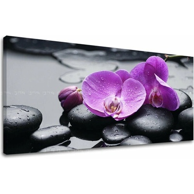Obraz fialových orchideí na plátne s rosou a tmavým pozadím – Feng Shui - 30x60 cm