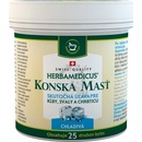 Herbamedicus konská masť s konopou chladivá 250 ml