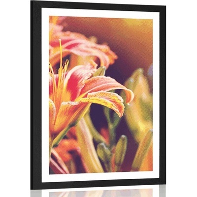 Plakát s paspartou krásně kvetoucí květiny v zahradě - 40x60 no frame