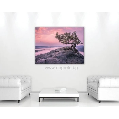 Картина Канава Светът на сънищата 1 l