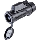 Vanguard 10x42 VESTA