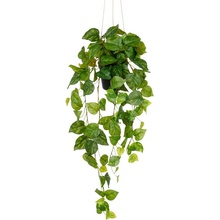 Umělá popínavá rostlina Philodendron popínavý závěsný, 75cm
