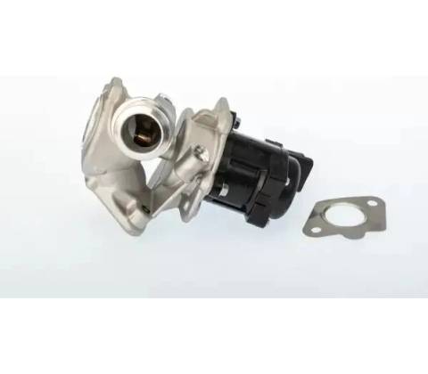 BorgWarner AGR ventil BGW 711020D/1