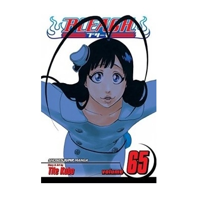 Bleach Volume 65 - Tite Kubo