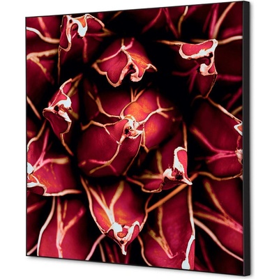 Jansen Display Textilní dekorace na zeď 40 x 40 Cactus červená, 400 x 400 mm