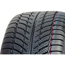 Goodride SW608 205/55 R16 91H