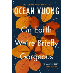 On Earth We're Briefly Gorgeous (ISBN: 9781529110685)