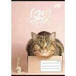 Corwell Cool by Victoria: Cats Forever тетрадка на редове, формат A5, различни видове (ISVFC113)