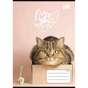 Corwell Cool by Victoria: Cats Forever тетрадка на редове, формат A5, различни видове (ISVFC113)