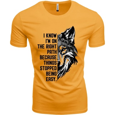 Мъжка тениска a15. w5. m