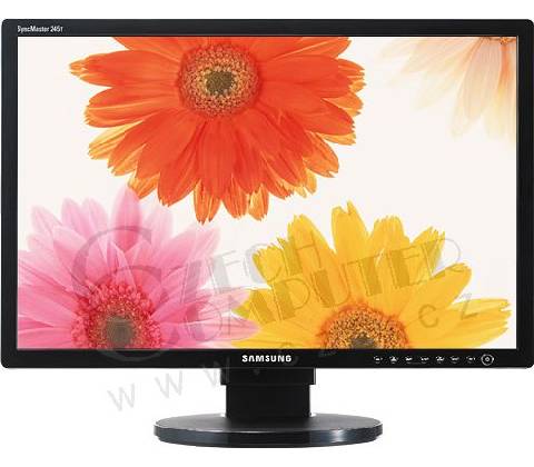 Samsung 245T