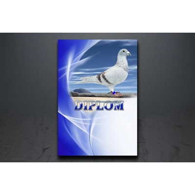 Diplom poštovní holub D86/A5 – Zboží Dáma Diplom poštovní holub D86/A5 – Zboží Dáma