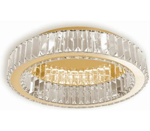 Toolight APP1721-C