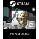 Perfect Angle