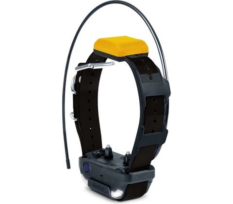 Dogtra PATHFINDER 2