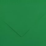 Canson Colorline 50x65 cm Moss Green 30 150 g Цветна хартия (C200041406)