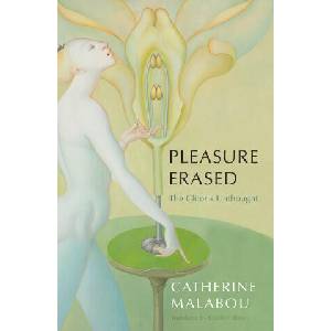 Pleasure Erased: The Clitoris Unthought (ISBN: 9781509549931)