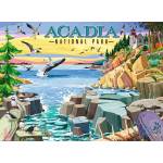 Ravensburger - Puzzle National Park Collection: Acadia National Park - 500 piese