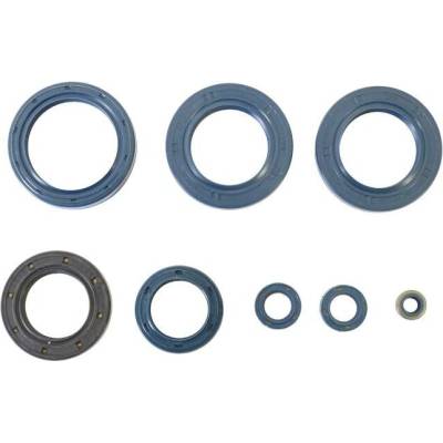 Sada gufer motoru ATHENA P400010400020