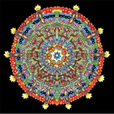 OF MONTREAL - HISSING FAUNA, ARE YOU THE DESTROYER ?