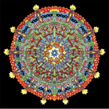 OF MONTREAL - HISSING FAUNA, ARE YOU THE DESTROYER ?