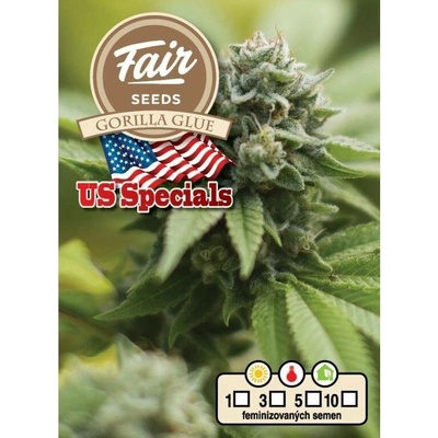 Fair Seeds Gorilla Glue semena neobsahují THC 3 ks
