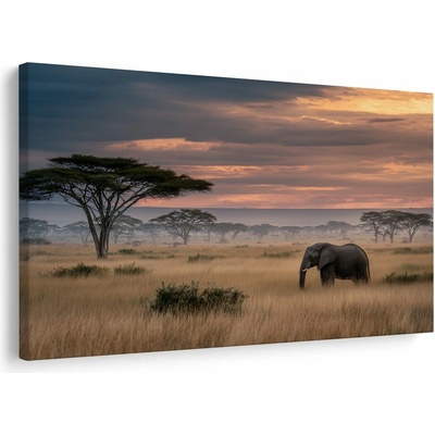 Obraz africký soumrak s divočinou - 120x80
