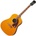 Epiphone Masterbilt Texan Antique Natural Електро-акустична китара Дреднаут
