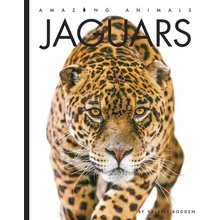 Jaguars Bodden Valerie