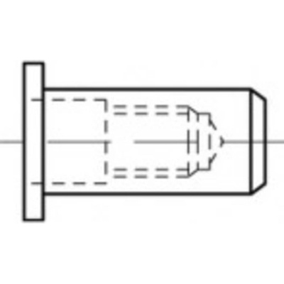 TOOLCRAFT TO-5444280 slepá nitovacie matice M5 ocel 500 ks