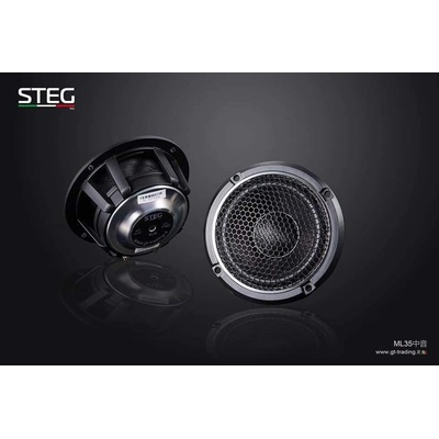 STEG ML 35