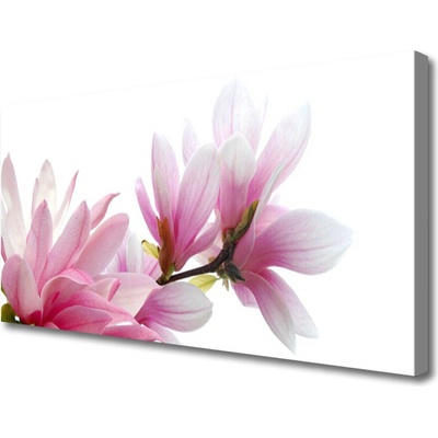 Obraz na plátně Magnolie Květ 100x50 cm