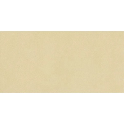 EBS Nuances 60 x 120 cm luce StrideUp 1,44m²