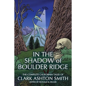 In the Shadow of Boulder Ridge | Ronald S. Hilger (ISBN: 9781614984443)