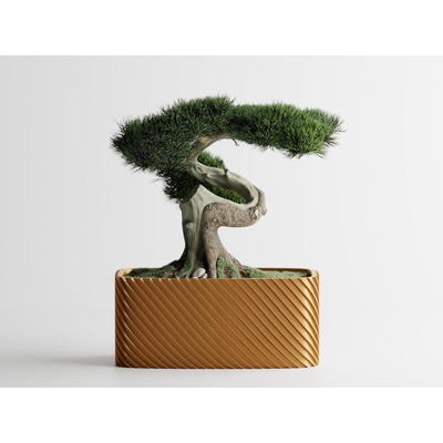 Кашпа Bonzai малка златен