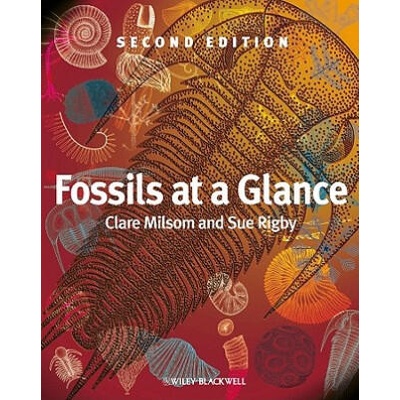 Fossils at a Glance | Clare Milsom