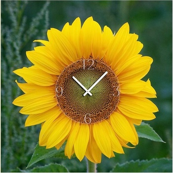 DX-time 6040-0002