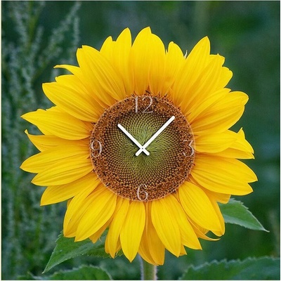 DX-time 6040-0002