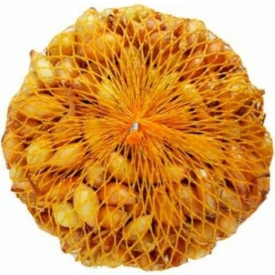 Cibuľa sadzačka VŠETANA 8-21mm 250g