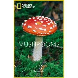 Mushrooms Postcards (ISBN: 9781426224324)