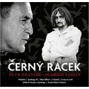 Černý racek