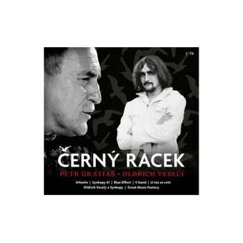 Černý racek
