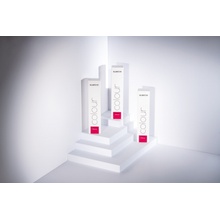 Subrina Colour Permanent Vibrant 10/4 100 ml