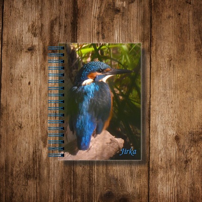 myonlymy Twin A7 14 denní 2024-2025