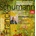 Robert Schumann Ivan Moravec a orchestr