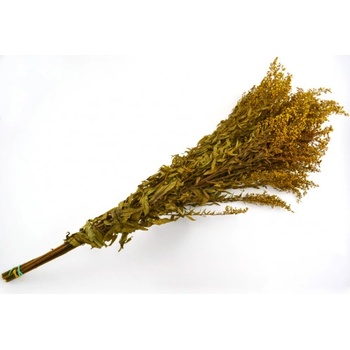 Solidago Yellow - žltá
