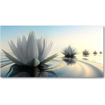 Fotoobraz na skle kvet lotosu 100x50 cm