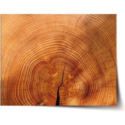 Sablio Plagát Drevo 2 - 90x60 cm