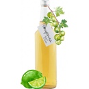Sirupárna Domácí Angrešt & Limeta Sirup 100 ml