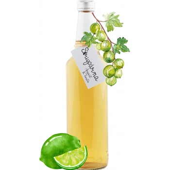 Sirupárna Domácí Angrešt & Limeta Sirup 100 ml